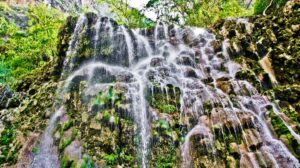 Tour Grutas de Tolantongo (Waterfalls)