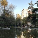 Polanco Neighborhood