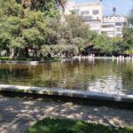 Polanco Neighborhood (Park)