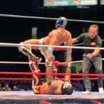 lucha libre fighters