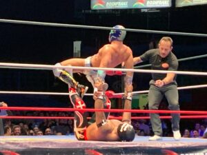 lucha libre fighters