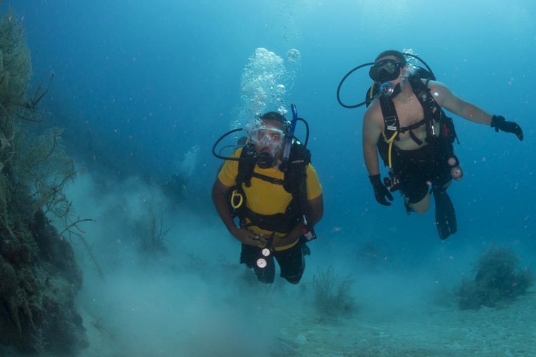 Scuba Diving Tulum Beginners: Explore the Amazing Submarine Life (10h)