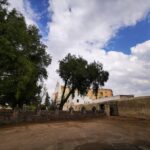 Tour Teotihuacan