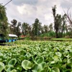 private adventure in xochimilco