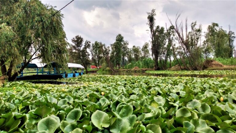 private adventure in xochimilco