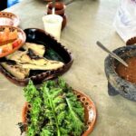 Xochimilco Farm Tour