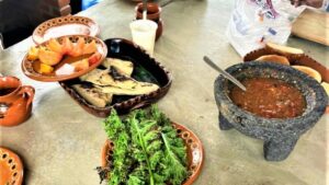 food experience in xochimilco