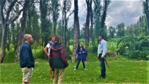 Xochimilco Day Trip