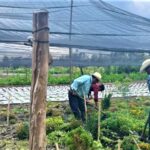 farmers xochimilco