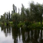 Xochimilco Private Tour