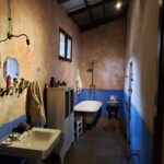 Frida Kahlo Museum Tour
