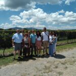 bernal vino