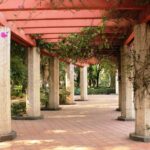 Condesa District Mexico City (Path)
