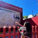 Frida Kahlo Virtual Tour