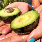 guacamole in mexico