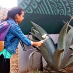 Discovering Exotic Plants
