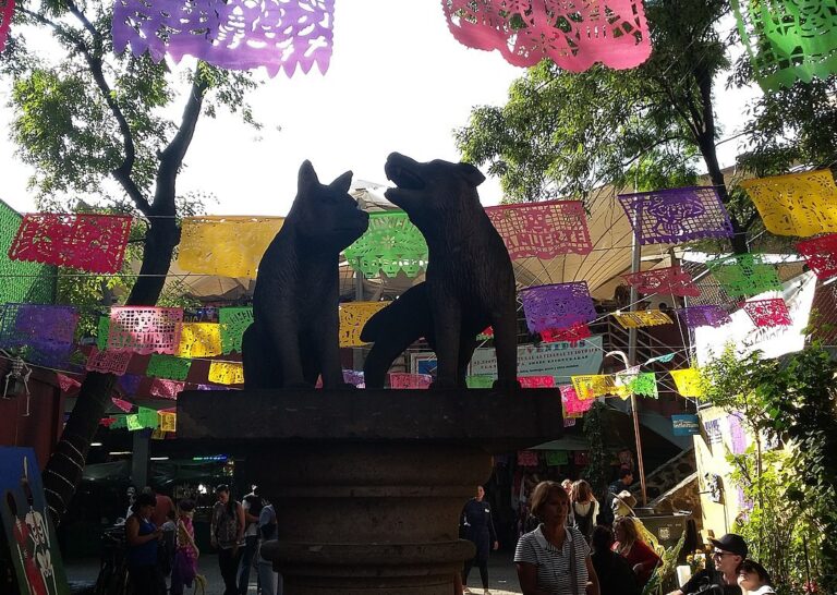 coyoacan virtual tour