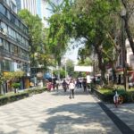 zona rosa street