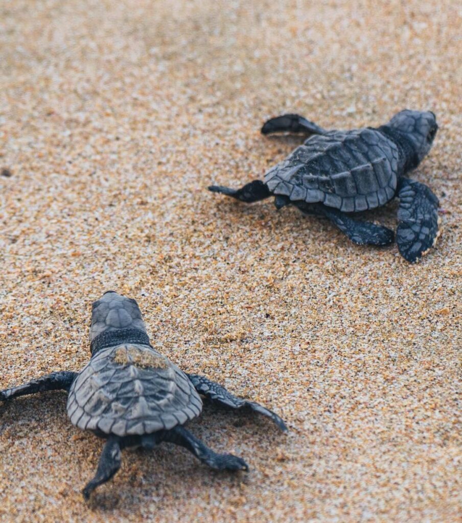 beaches in baja mexico