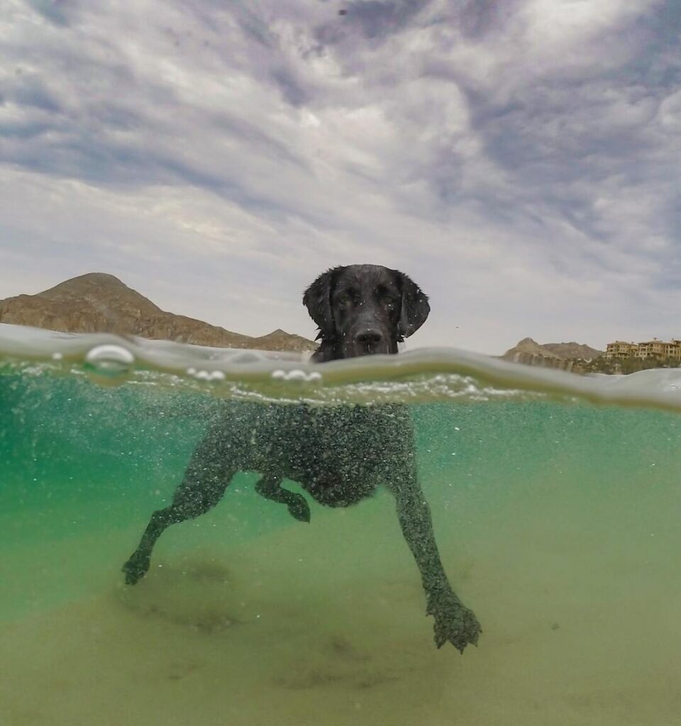 beaches in baja mexico