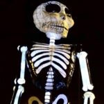 dia de los muertos 2024