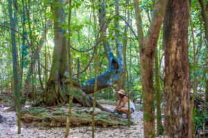 Nature (Cenotes Tour)