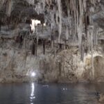 Fantastic Nature Mexico