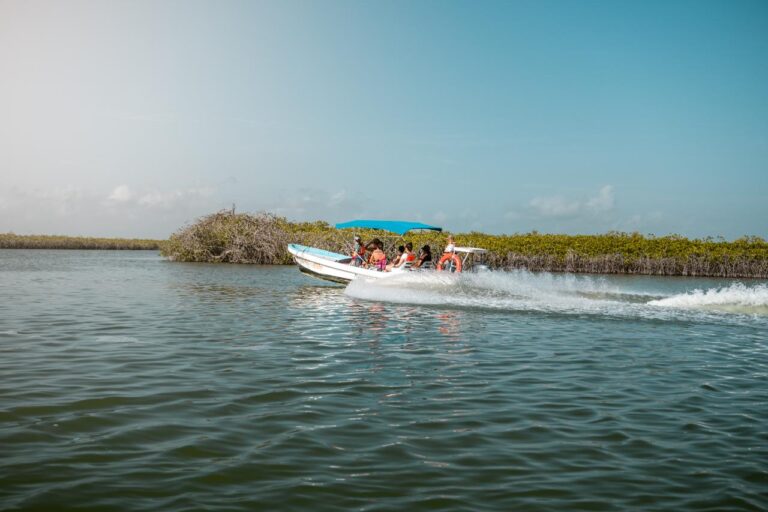 Sian Kaan Tour (Boat Ride)