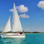 Tour Boat