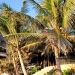 Nature Tulum