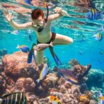 Snorkeling in MUSA Park