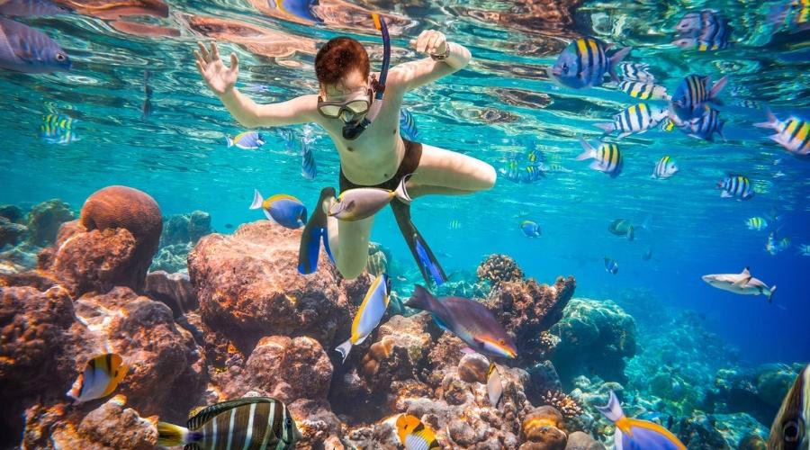 Snorkeling in MUSA Park