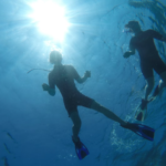 Diving into Water