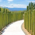 Botanical Garden