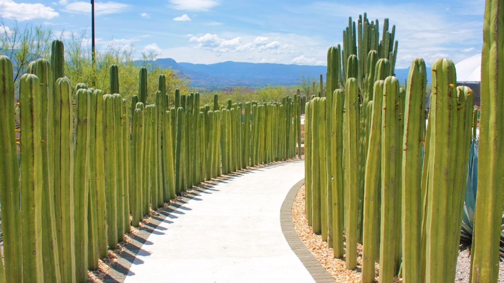 Botanical Garden