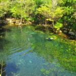 Tour Riviera Maya (Landscape)
