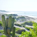 desert in los cabos