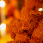Mexican Flower