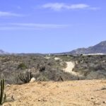Desert
