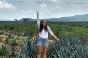 Tequila Jalisco Tour (Guadalajara)
