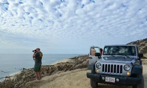 Cabo Pulmo Tour