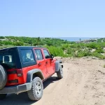 Cabo Pulmo Tour