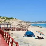 beach cabo pulmo