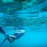 diving at los cabos