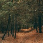 Hiking