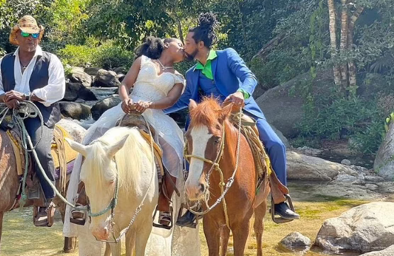 vallarta horse ride