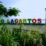 Rio Lagartos Tour (Color Letters)