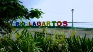 Rio Lagartos Tour (Color Letters)