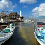 Rio Lagartos Tour (Pier)