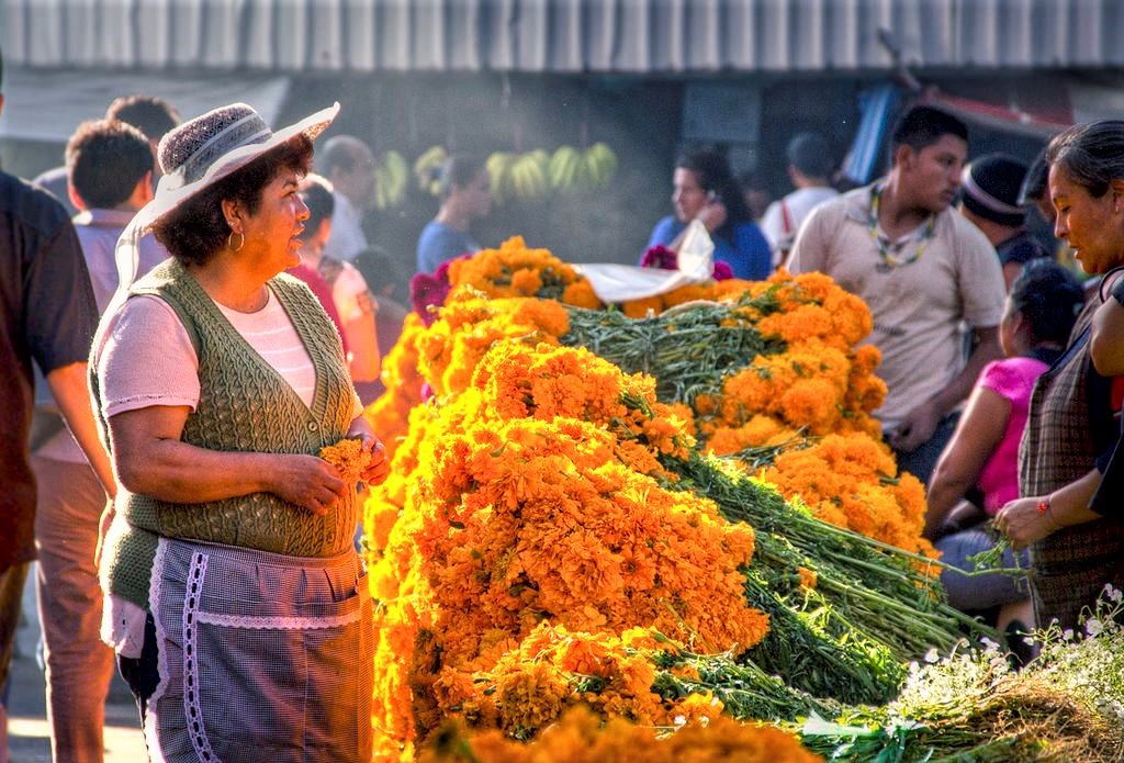 mexico city market tour